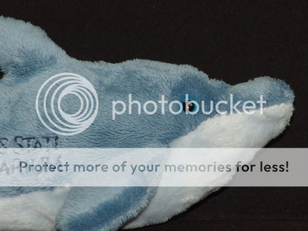 bottlenose dolphin stuffed animal